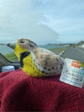 Wild Republic Audubon Birds “Western Meadowlark Plush Toy” Yellow/Tan CHIRPS NWT